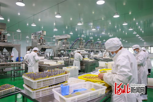 唐山市今年計劃營造林30萬畝