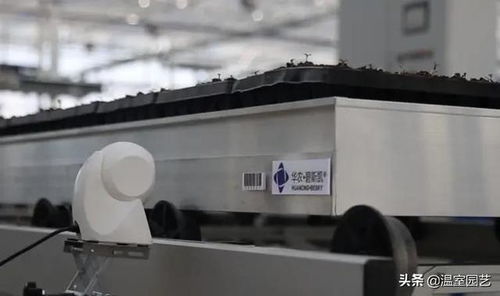 溫室作業效率低 來向這家中藥材產業示范區學習