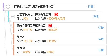 山西新動(dòng)力煤層氣開發(fā)有限責(zé)任公司 工商信息 信用報(bào)告 財(cái)務(wù)報(bào)表 電話地址查詢 天眼查